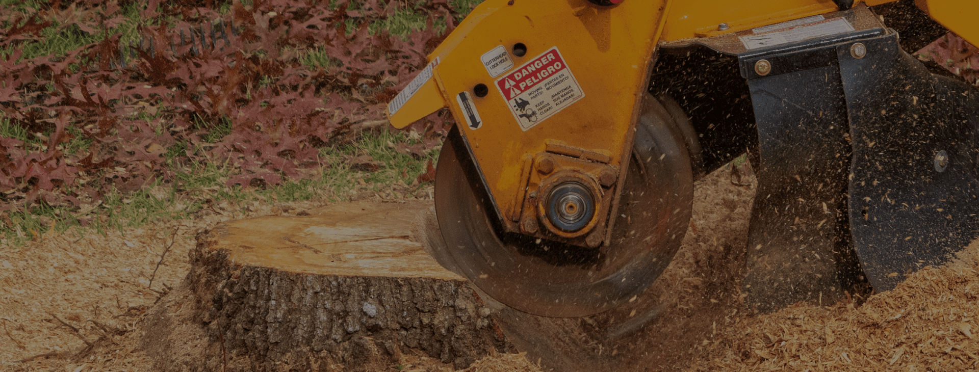 Getting to the root of your tree stump troubles